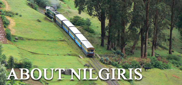 about-nilgiris-sidebar