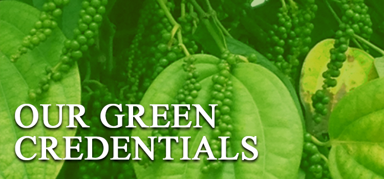 green-banner