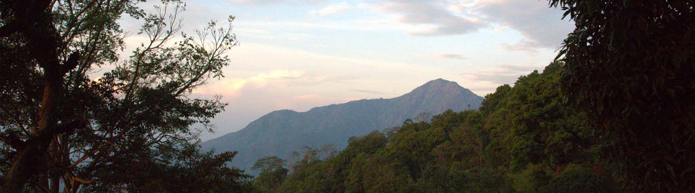 oland-nilgiris-banner