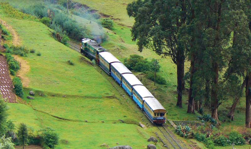 oland-nilgiris-thumb